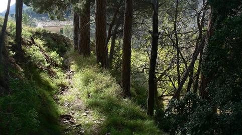 Foto 2 de Finca rústica en venda a Partida de Nutxes, 1061, Jijona / Xixona, Alicante