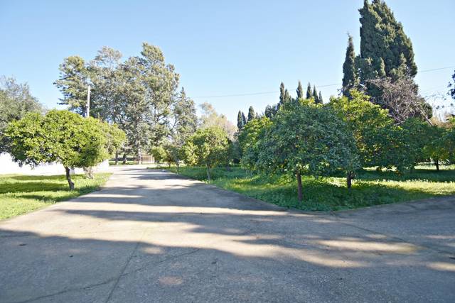 Finca rústica en Venta en Parque Atlántico - Ronda este