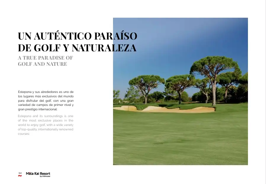 Jardín de Ático en venta en Estepona con Terraza, Trastero y Amueblado