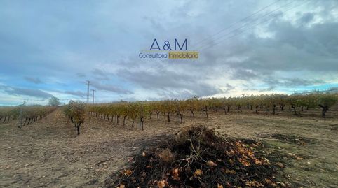 Parcela destinada al viñedo, con casa, en venta en Rueda. Pozo de agua legalizado., immagine 5