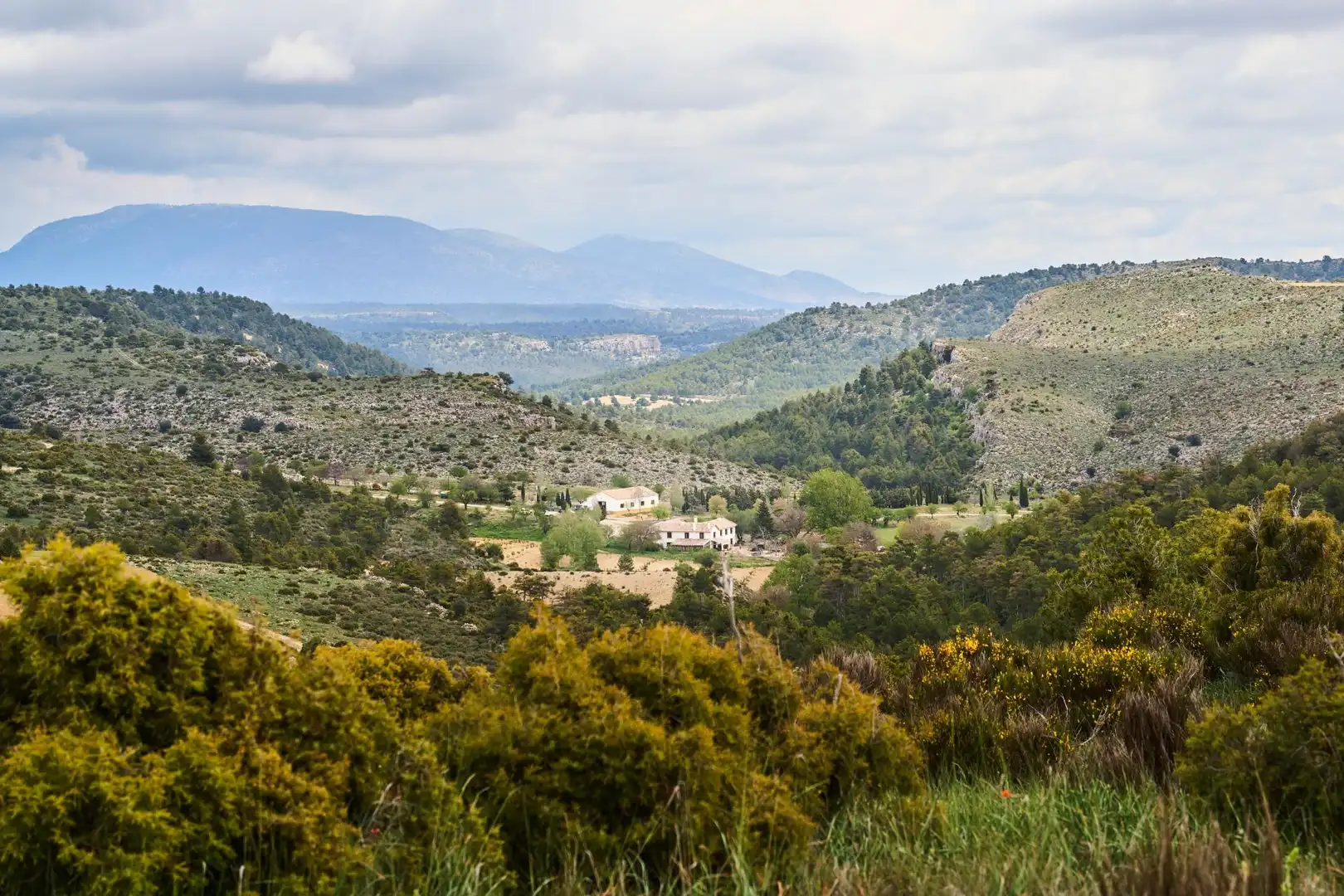 Finca rústica en venta en DISEMINADOS, 24, Puebla de Don Fadrique