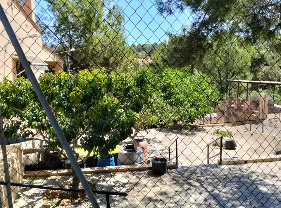 Jardí de Casa o xalet en venda en Sot de Ferrer amb Aire condicionat, Jardí privat i Terrassa