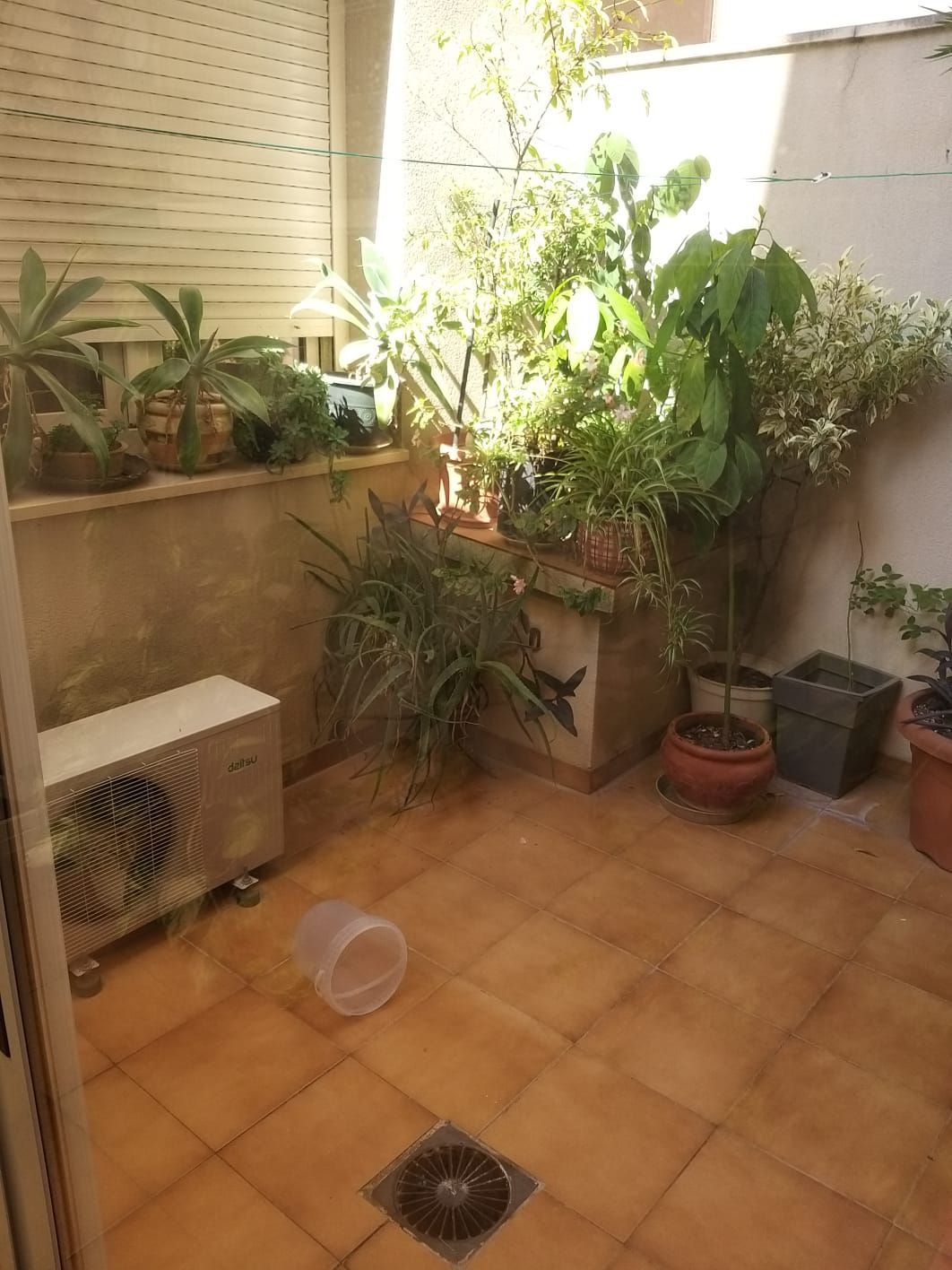 Garden of Single-family semi-detached for sale in Benicarló  with Air Conditioner, Private garden and Terrace