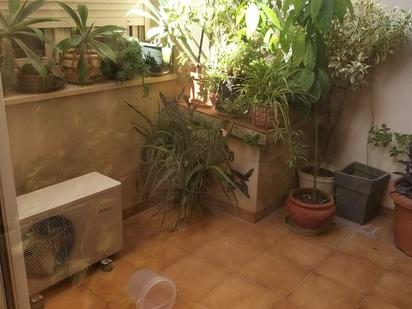 Garden of Single-family semi-detached for sale in Benicarló  with Air Conditioner, Private garden and Terrace