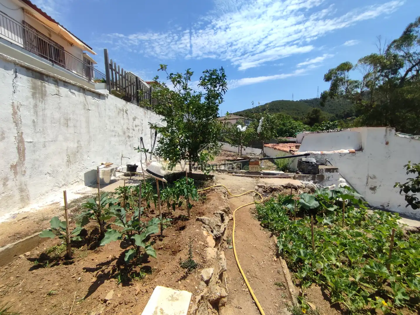 Casa con terrazza in vendita a Olesa de Bonesvalls, imagen 61