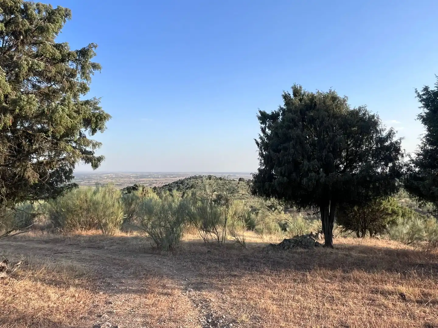 Terrain rustique à vendre à Colmenarejo, imagen 15