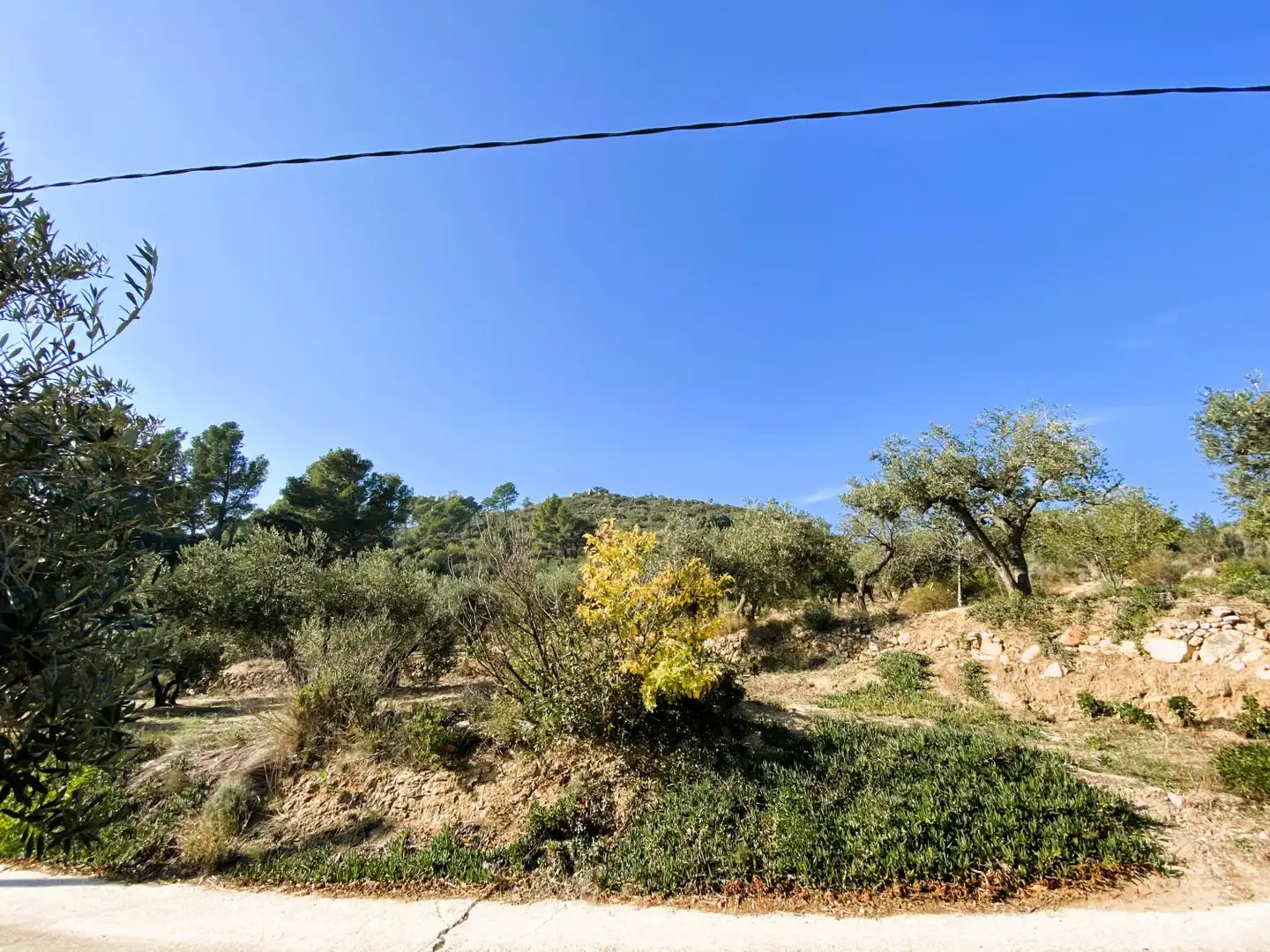 Casa rústica en venta en de les Valls, imagen 7
