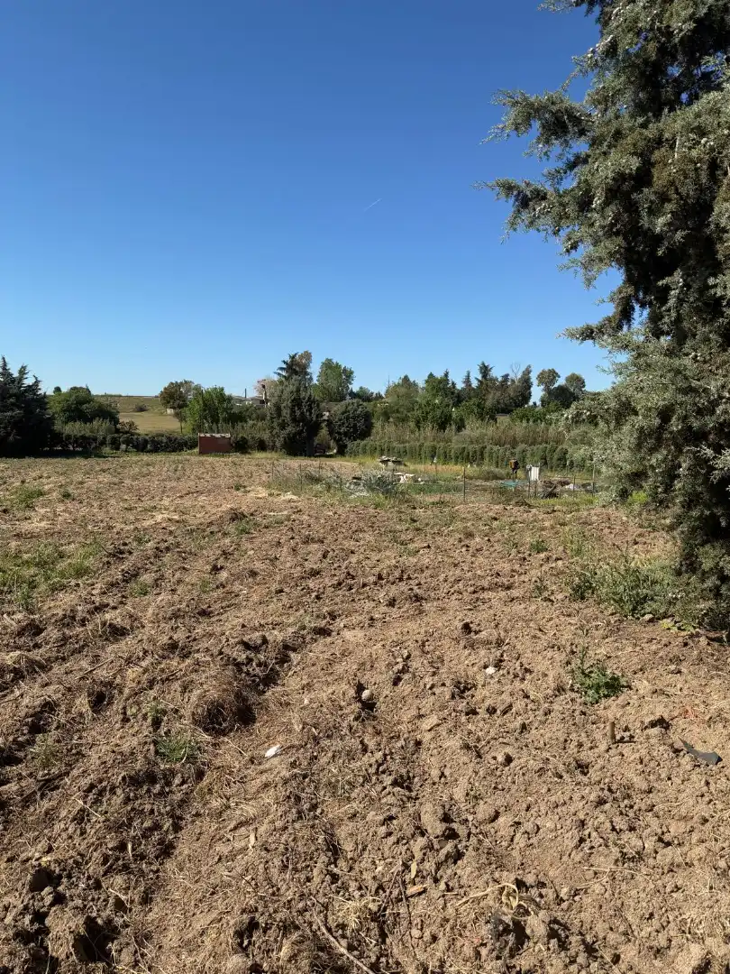 Rural land for sale in Diseminado Navalcarnero
