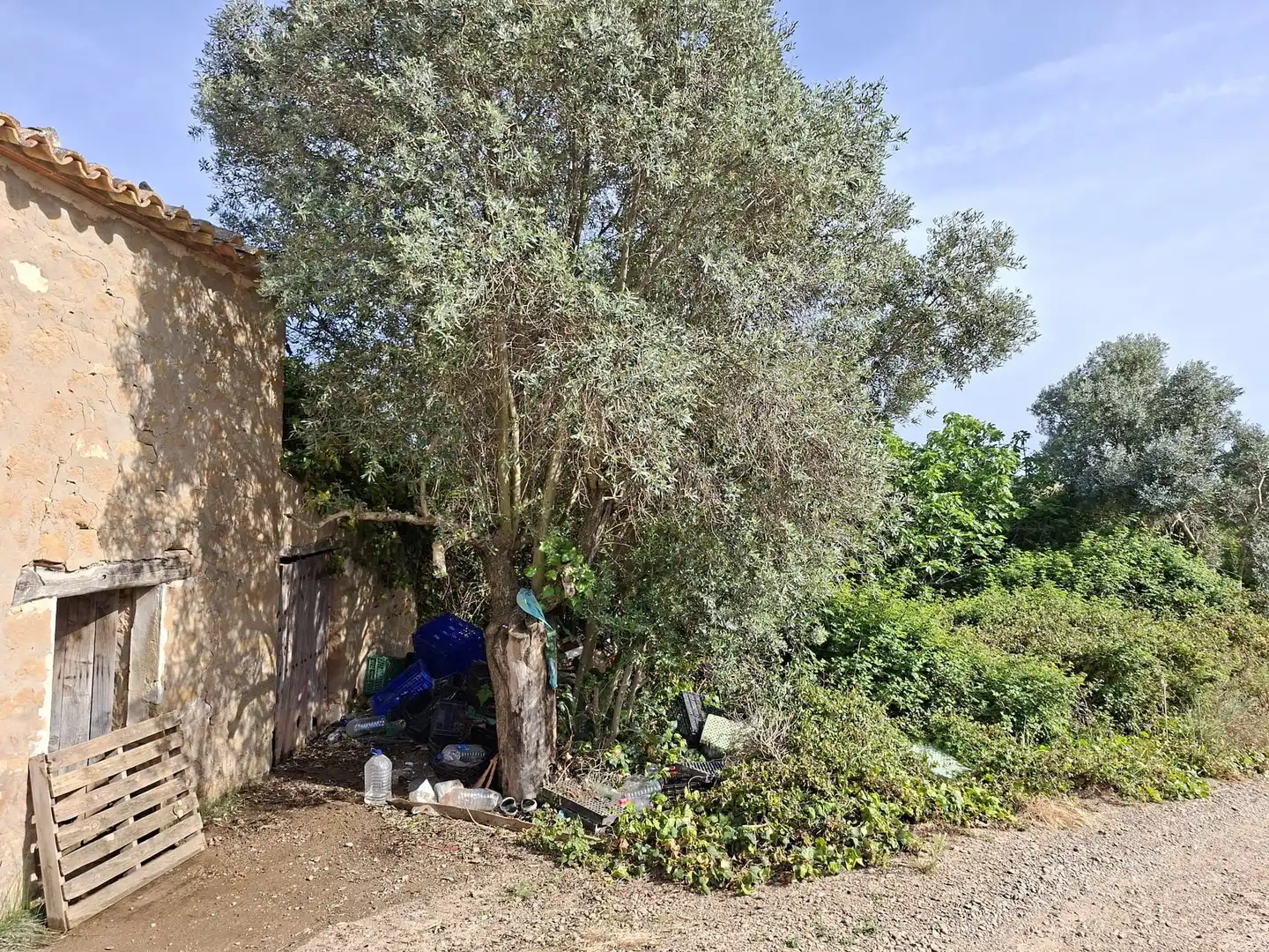 Finca rústica en venda en Caspe