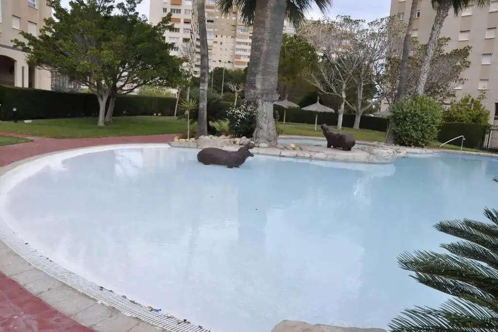 Schwimmbecken von Wohnungen zum Verkauf in El Campello mit Heizung, Parkett und Terrasse