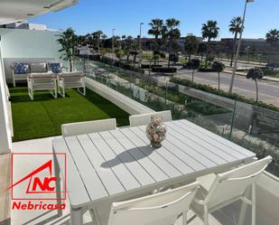 Terrace of Flat to rent in Jerez de la Frontera  with Air Conditioner, Terrace and Swimming Pool