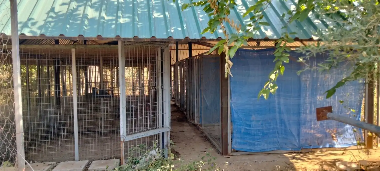 Terreni e lotti in vendita a La Hacienda - Nueva Andalucía, imagen 8