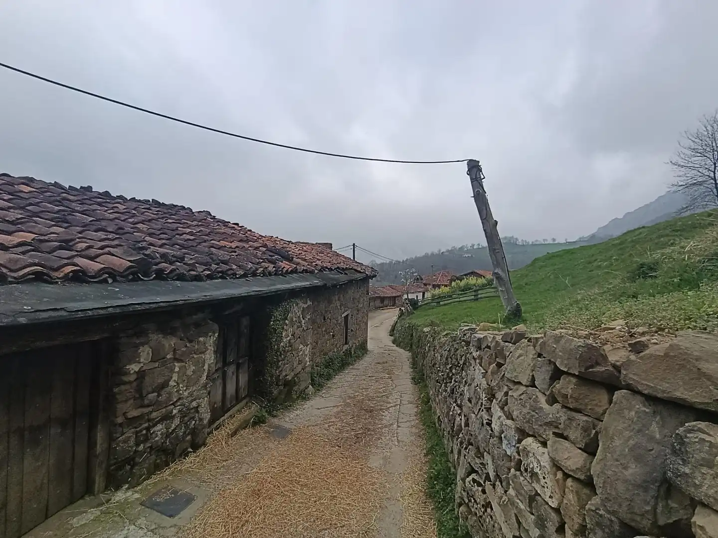 Vista exterior de Finca rústica en venta en Caso