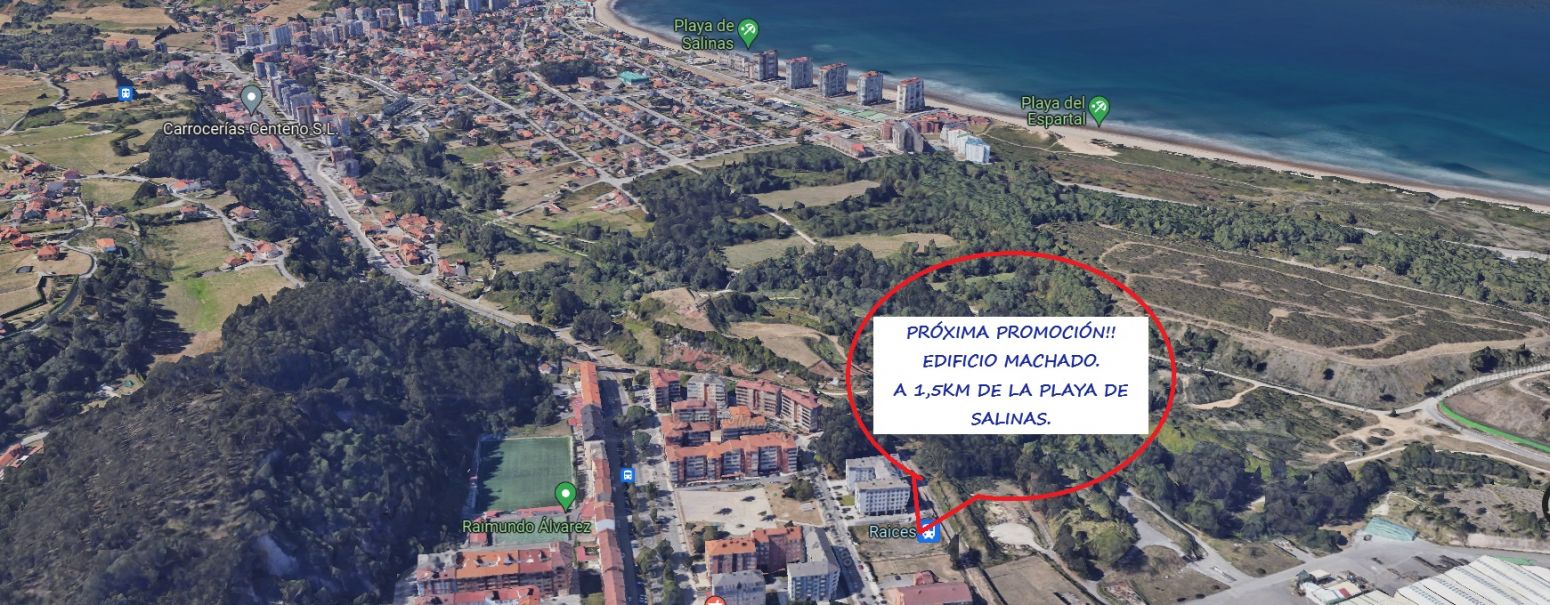 Pis en venda a Raíces - CALLE ANTONIO MACHADO, Raíces, Castrillón
