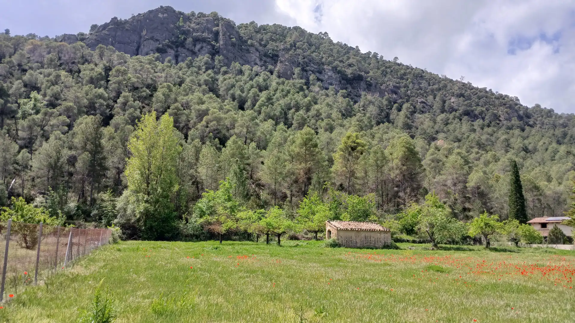 Land for sale in Beceite