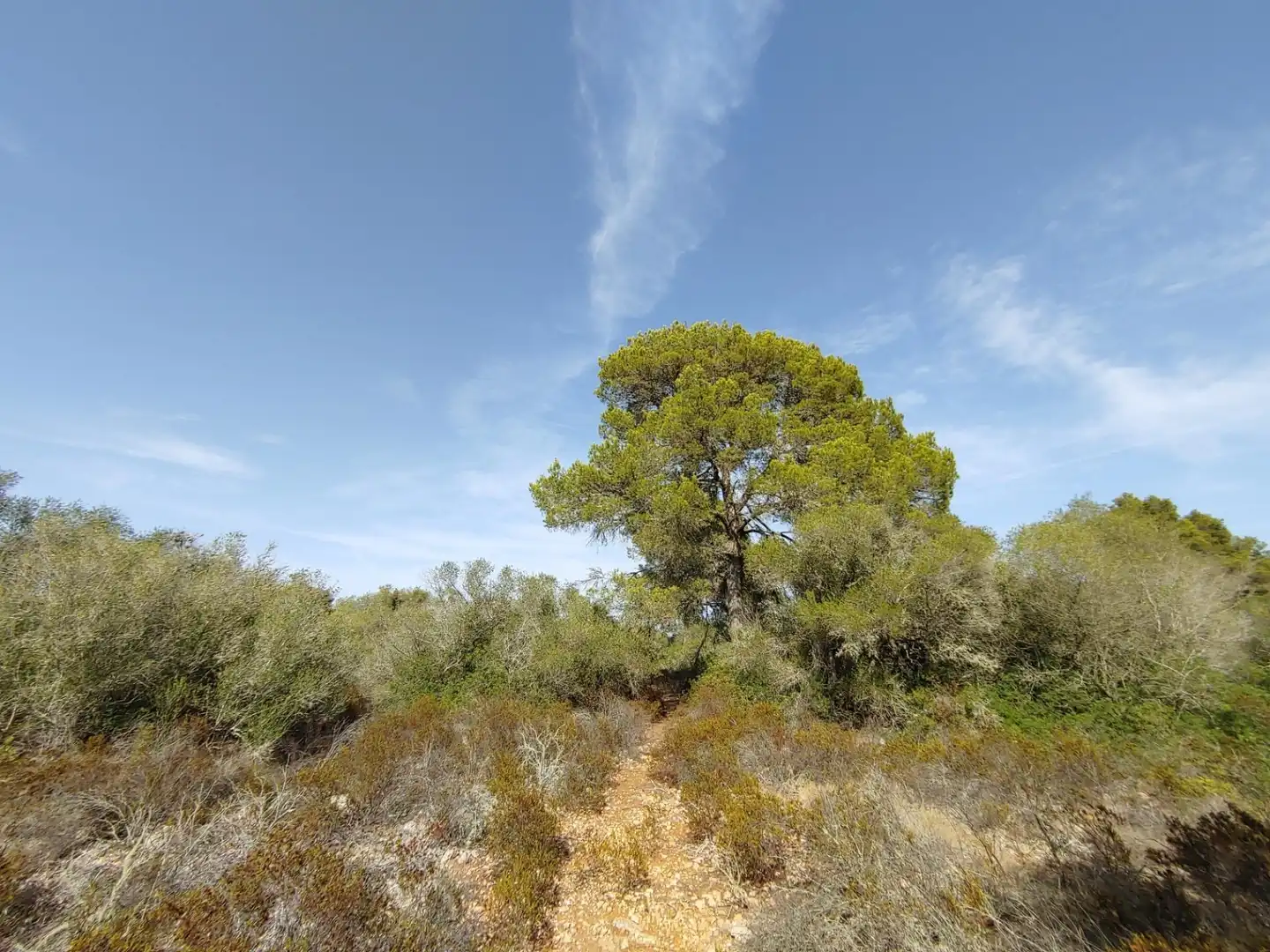 Residencial en venta en Polígono Parcela 12, Cala Pi - Vallgornera