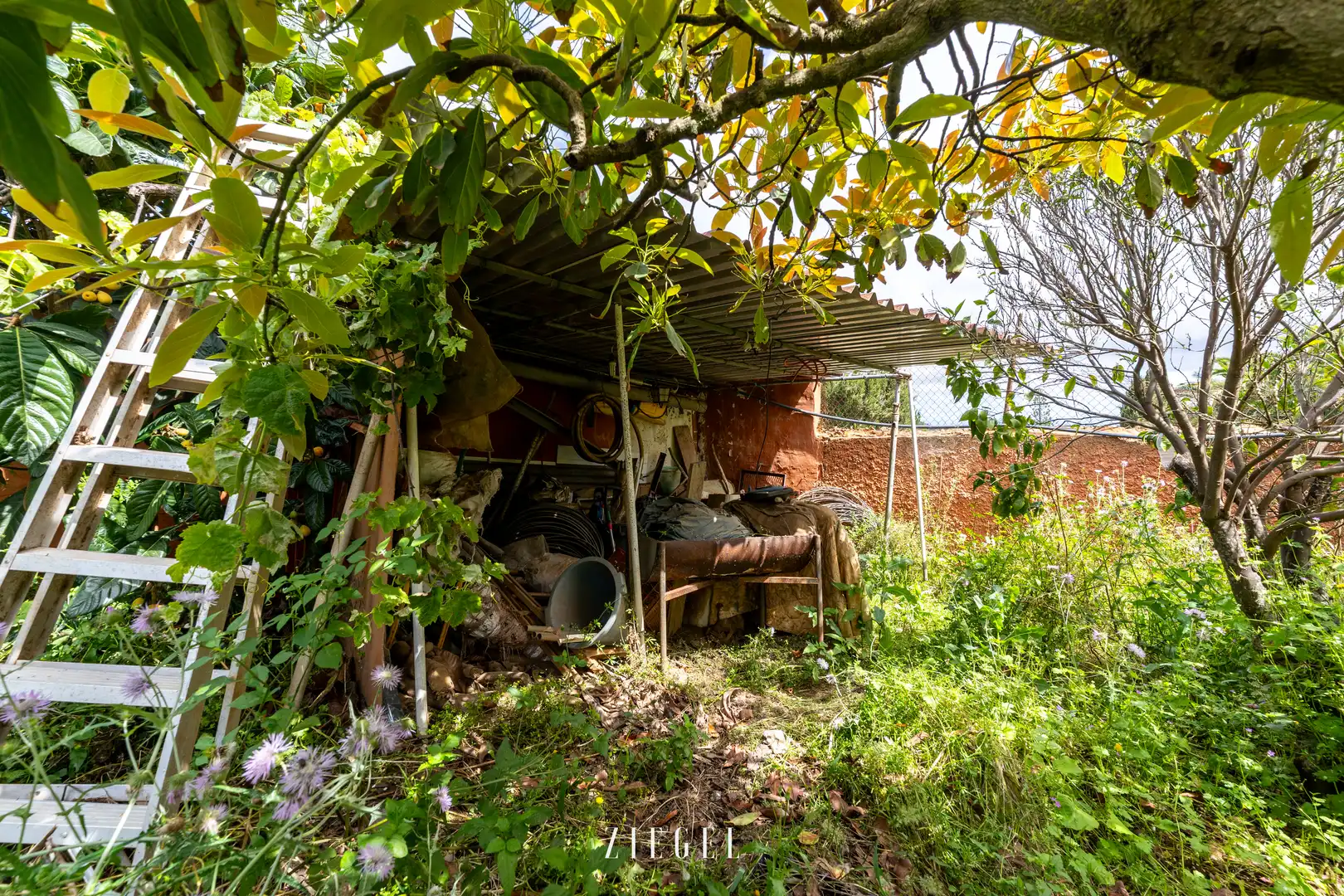 Jardí de Casa o xalet en venda en Santa Brígida amb Jardí privat, Terrassa i Balcó