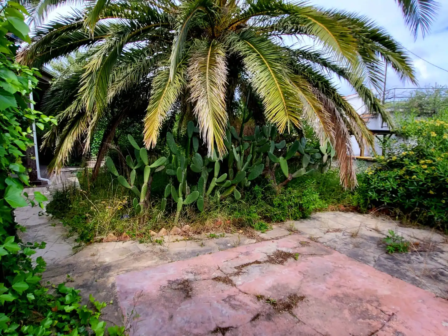 Jardí de Casa o xalet en venda en Torredembarra amb Jardí privat, Terrassa i Moblat