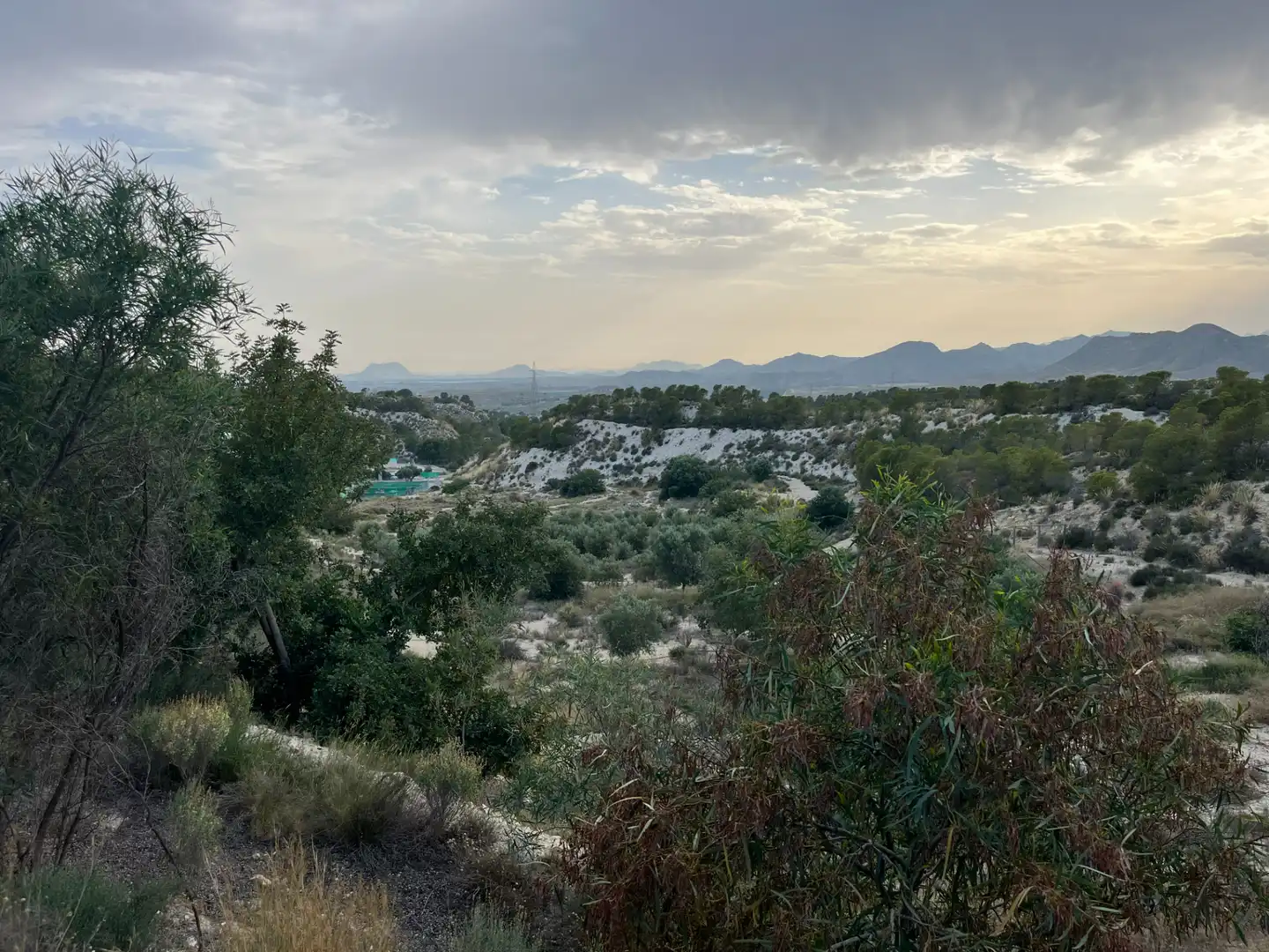 Finca rústica en venta en Busot