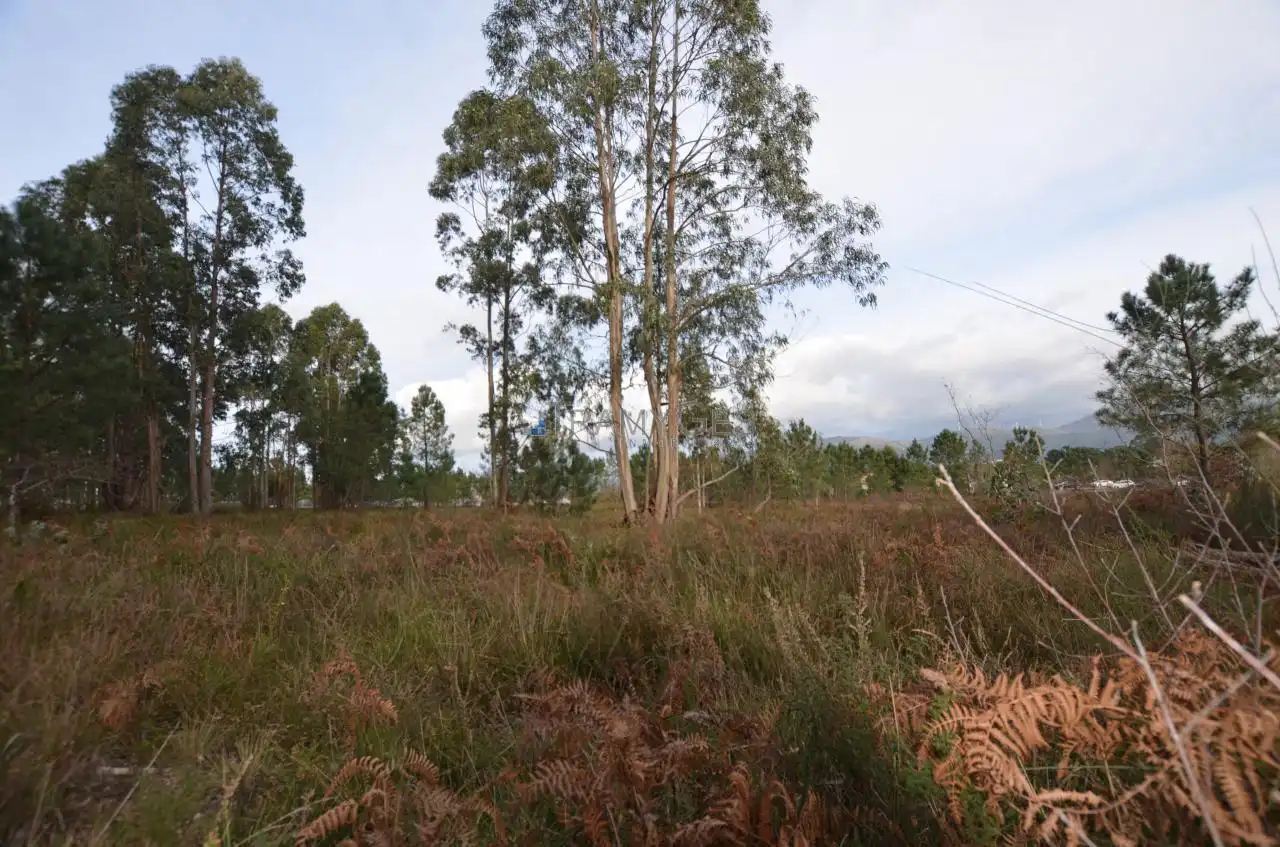 Residential land for sale in LUGAR O MONTE, imagen 19