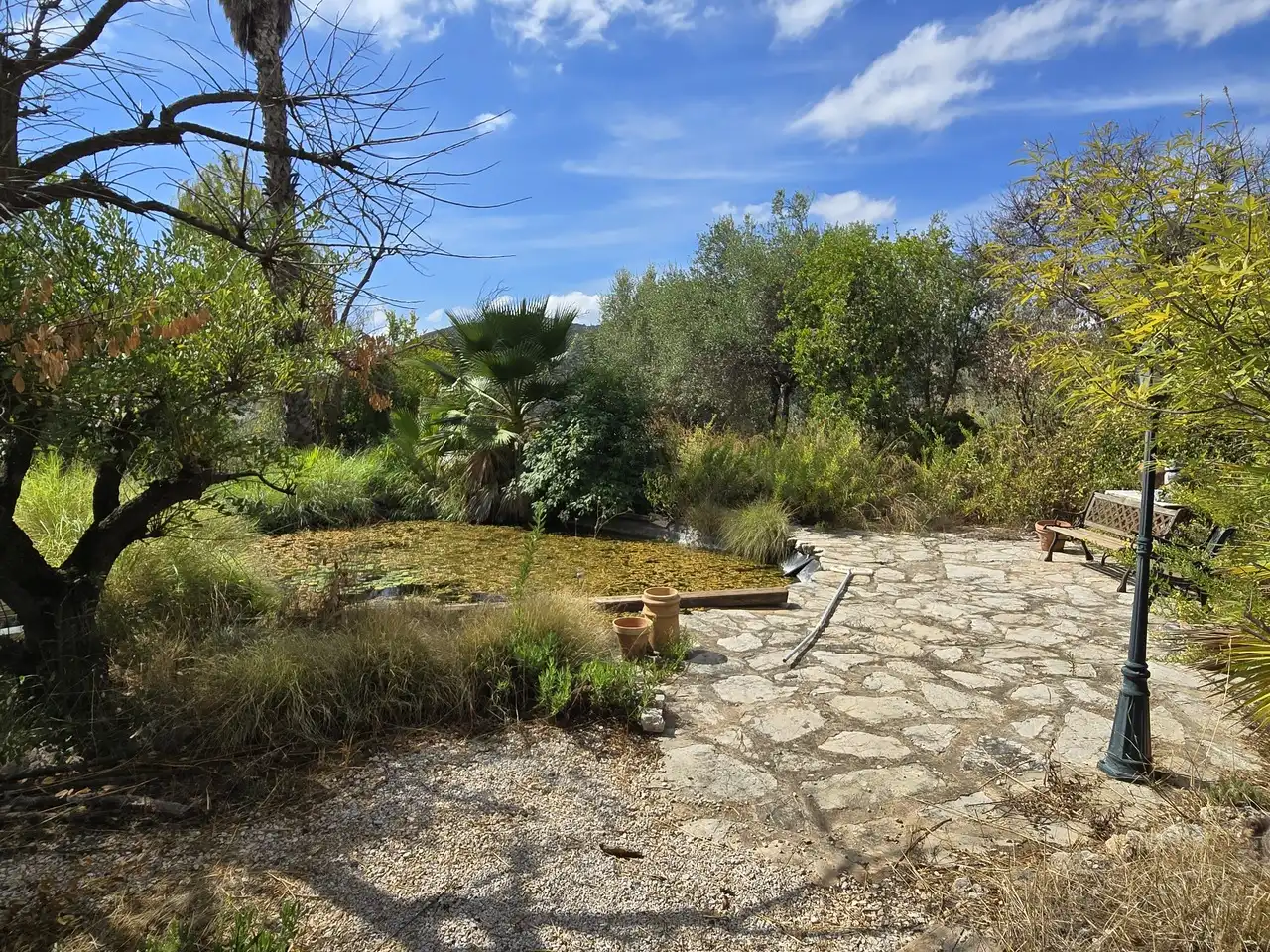 Maison avec piscine à vendre à Periana, imagen 44