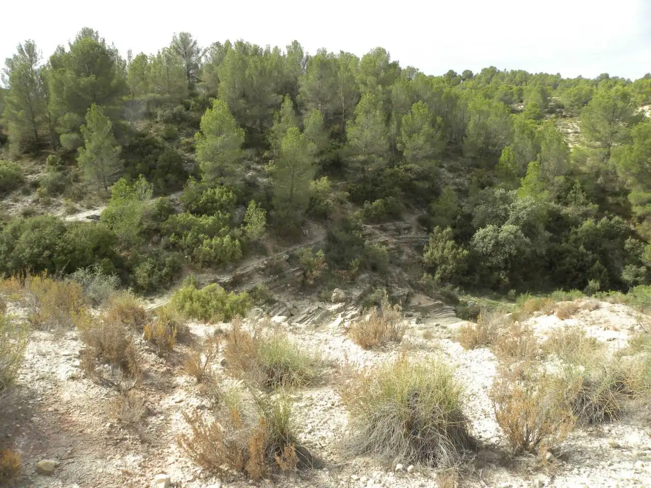 Terreno residencial en venta en Caravaca de la Cruz, imagen 18