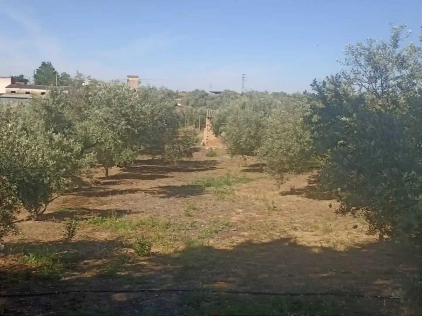 Piso en venta en Linares con Aire acondicionado