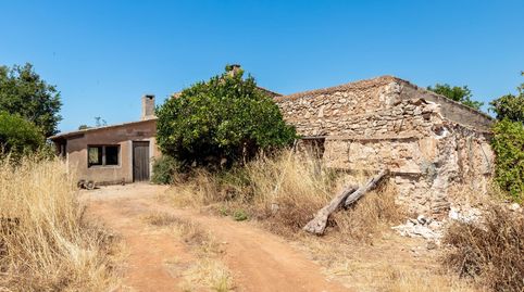 Foto 5 de Finca rústica en venda a Felanitx Poble, Felanitx