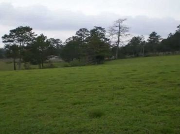 Terreny rústic en venda a Biar