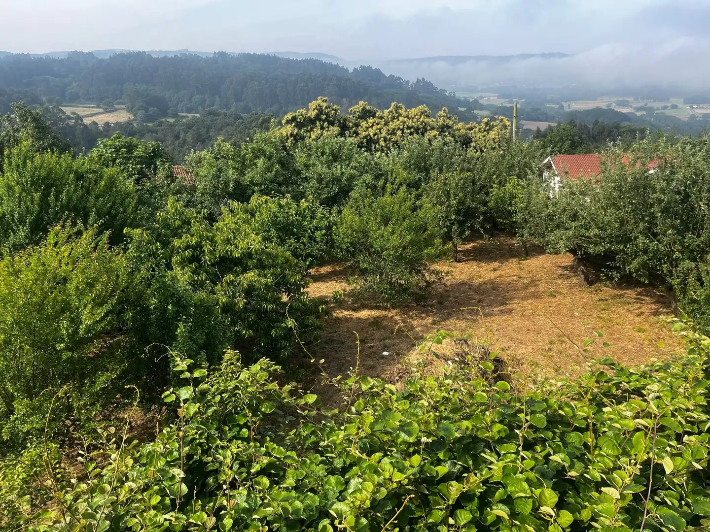 Casa rústica amb jardí en venda a Silleda, imagen 14