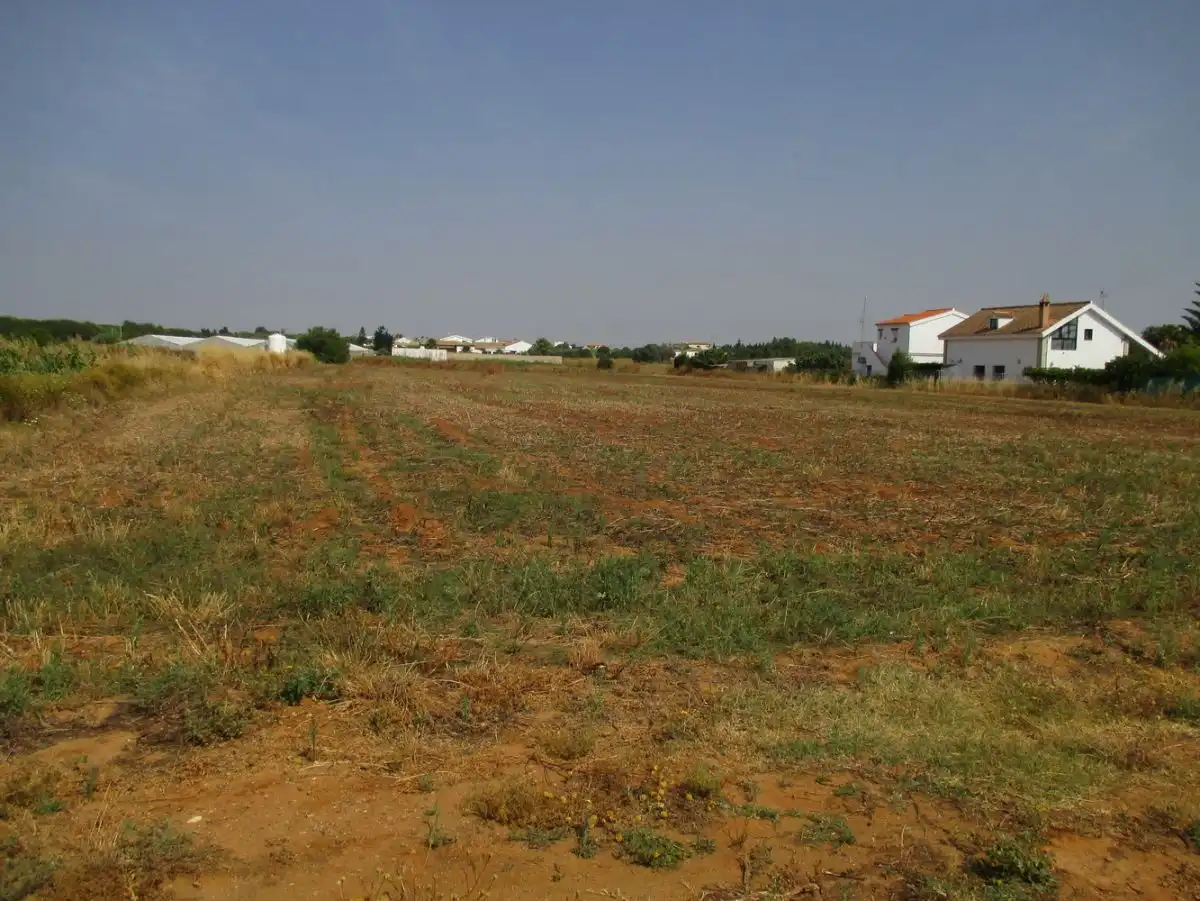 Finca rústica en venta en Conil de la Frontera