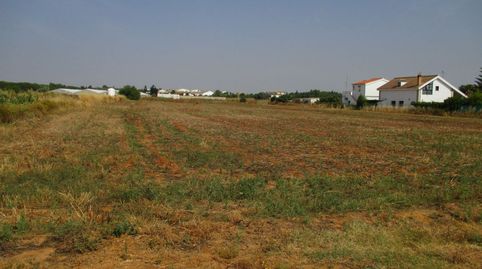 Foto 3 de Finca rústica en venta en Roche, Conil de la Frontera