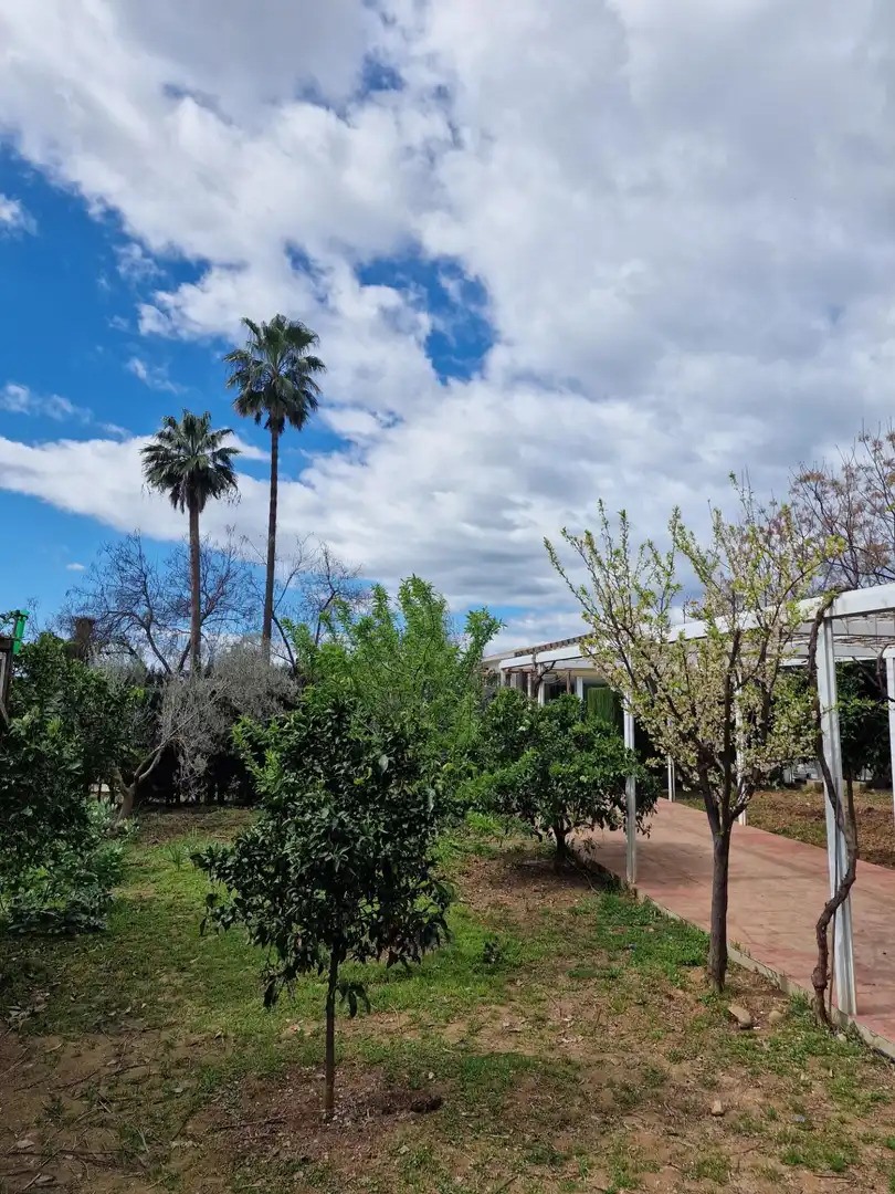 Jardí de Casa o xalet en venda en Córdoba amb Aire condicionat, Calefacció i Jardí privat
