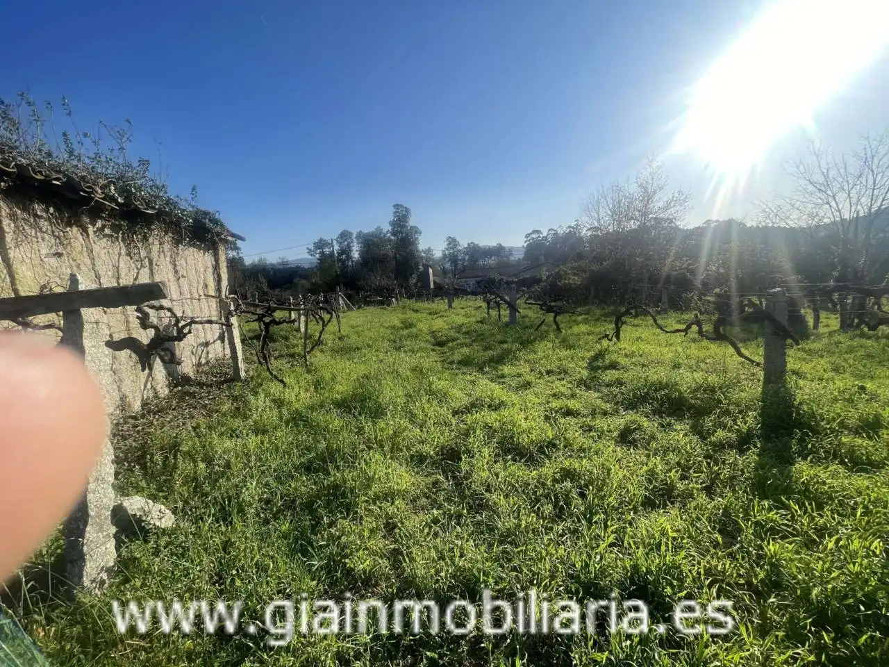 Casa con jardín en venta en Calle Xestal, imagen 42