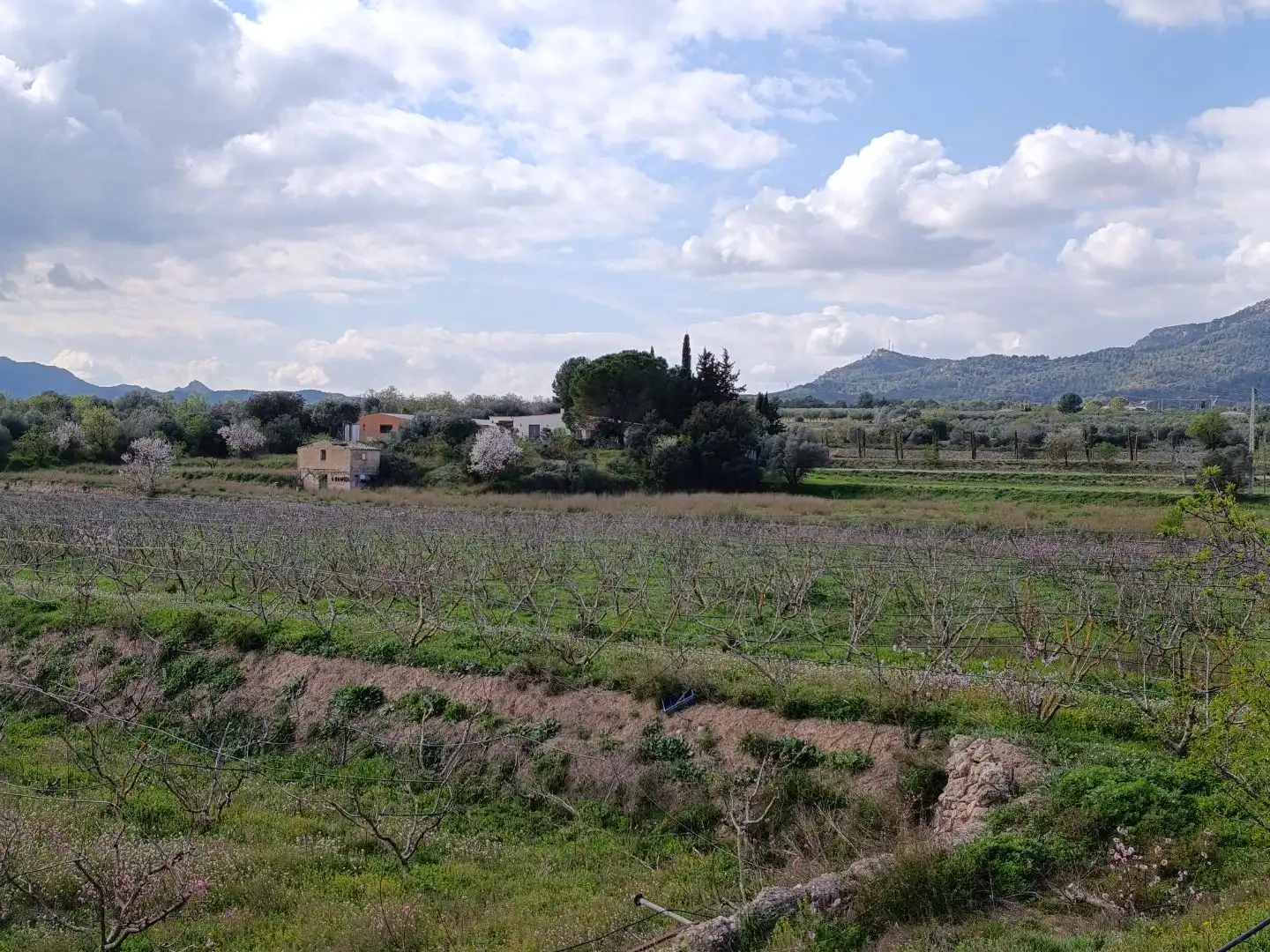 Terreno rustico in vendita a Camí de Sant Jeroni 29