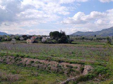 Terreny rústic en venda a Camí de Sant Jeroni 29