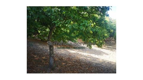 Foto 5 de Casa o xalet en venda a Faraján, Málaga