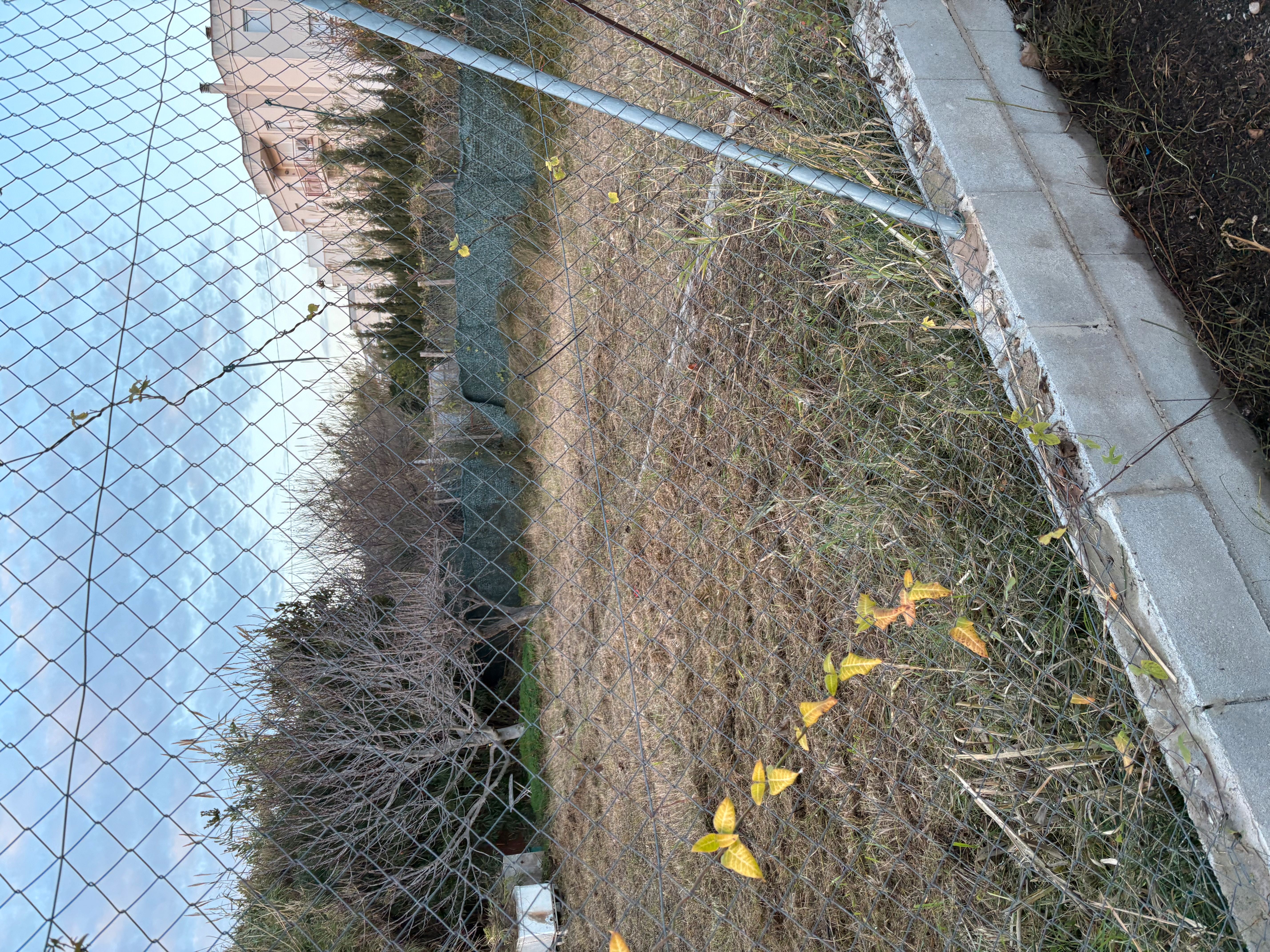 Terreny en venda en Llançà