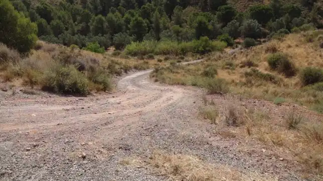 Terrains et parcelles à vendre à Pt Llana Diputación de la Parrilla, imagen 14