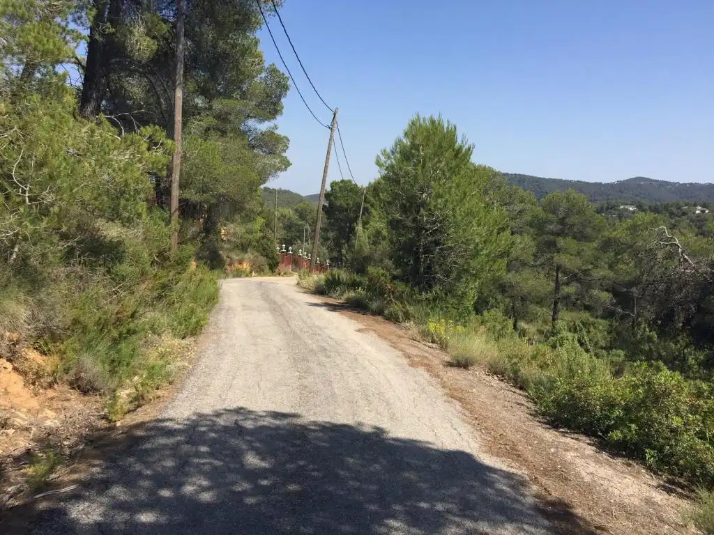 Terreny rústic en venda a BAIX PENEDES, imagen 12