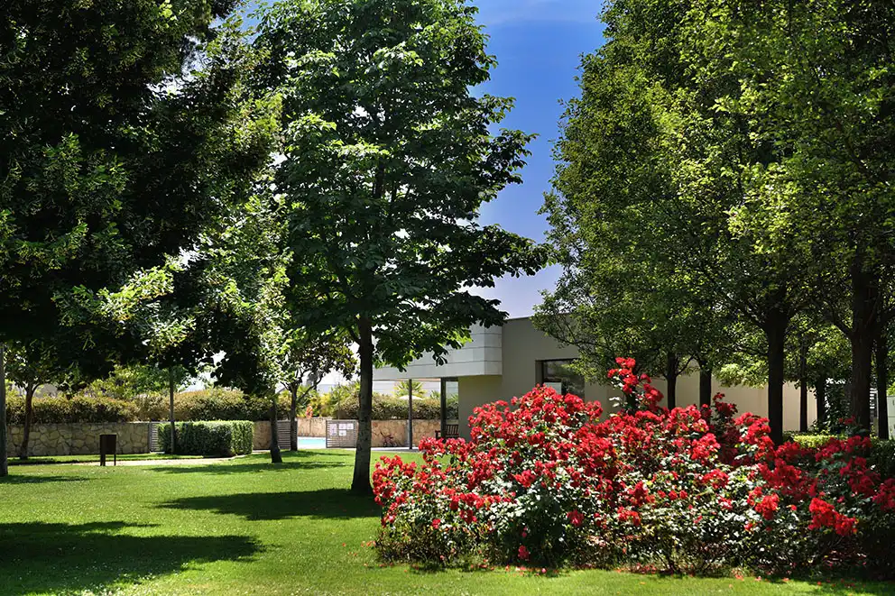 Garden of Detached homes for rent in La Moraleja  with Air Conditioner, Heating and Private garden