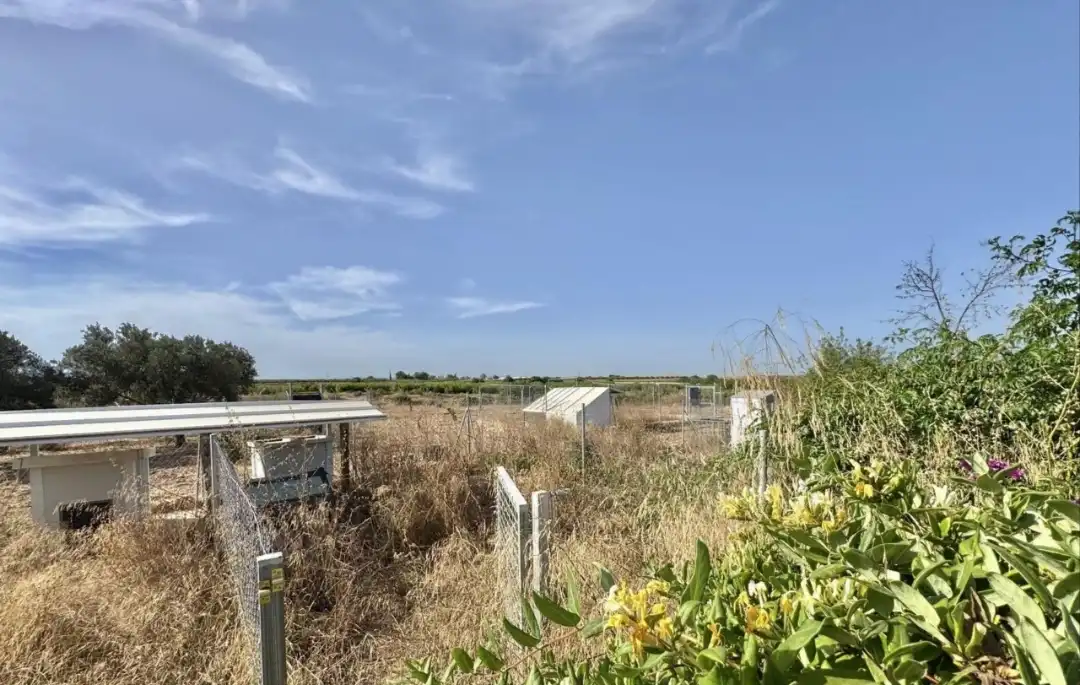 Country house zum Verkauf in Cartagena mit Privatgarten, Abstellraum und Schwimmbad