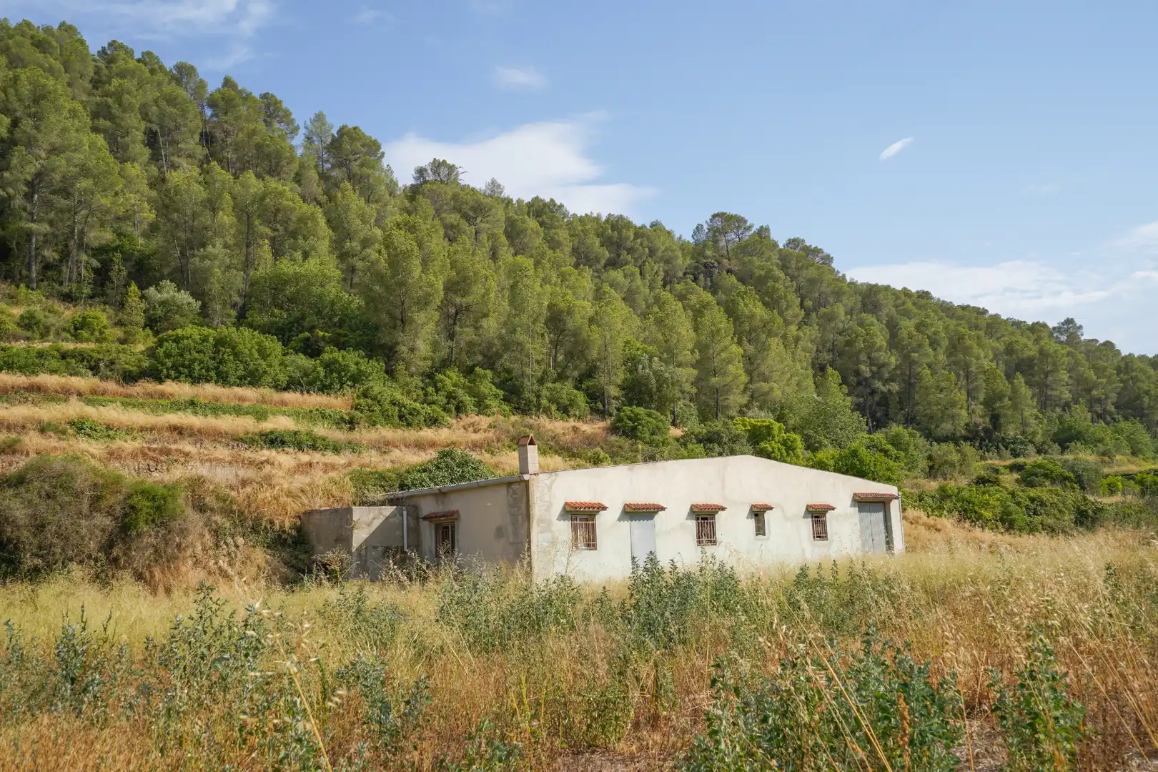 Terrain rustique à vendre à Benifallet, imagen 38