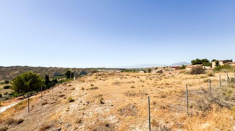 SE VENDE SOLAR EN LOS OLIVOS, CASTILLÉJAR GRANADA, immagine 2