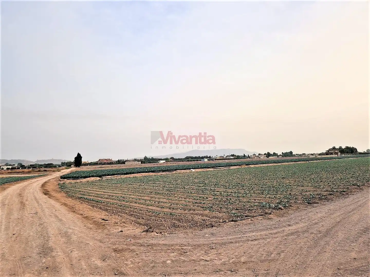 Residential land for sale in Pedanías Centro