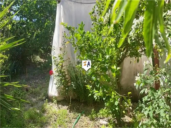 Casa rústica en venda a Priego de Córdoba, imagen 4