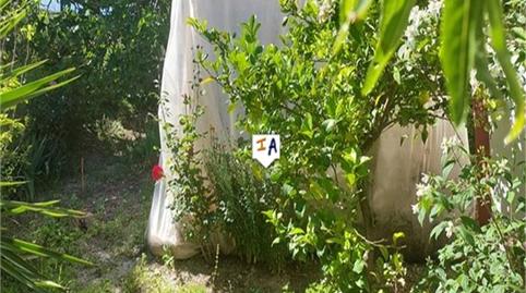 Foto 4 de Finca rústica en venda a Priego de Córdoba, Córdoba