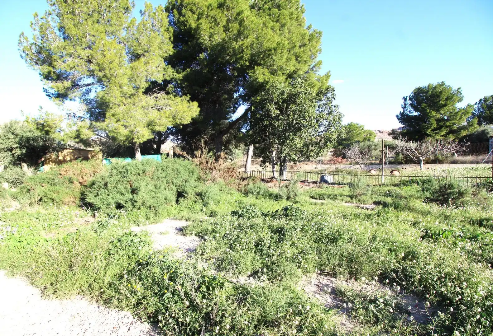 Casa o xalet en venda en Alicante / Alacant