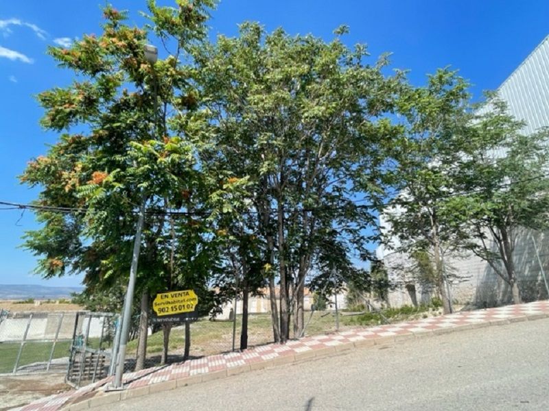 Vista exterior de Residencial en venda en Jimena