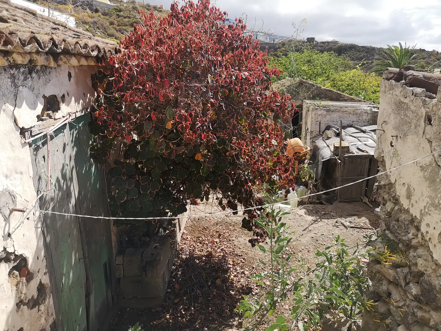 Vista exterior de Casa o chalet en venta en Icod de los Vinos